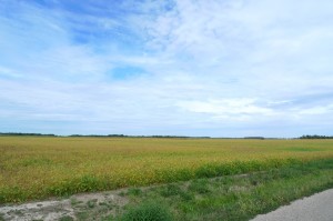 L1080032