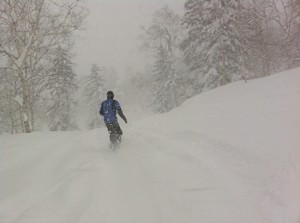 IMG_2507