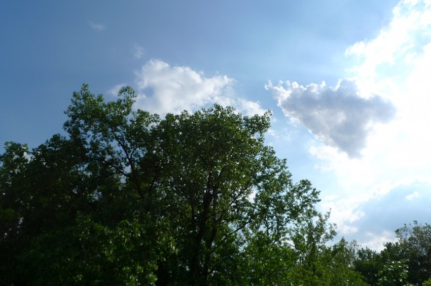 L1080954