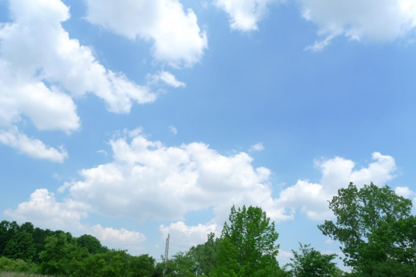 L1080984