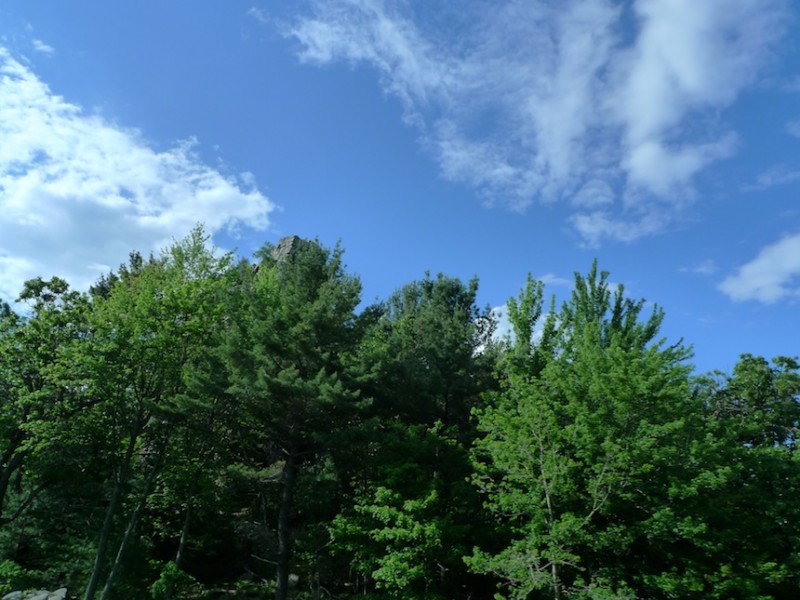 L1010265
