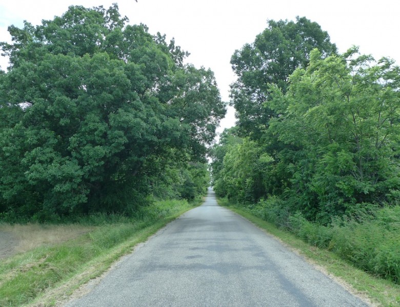 L1010364