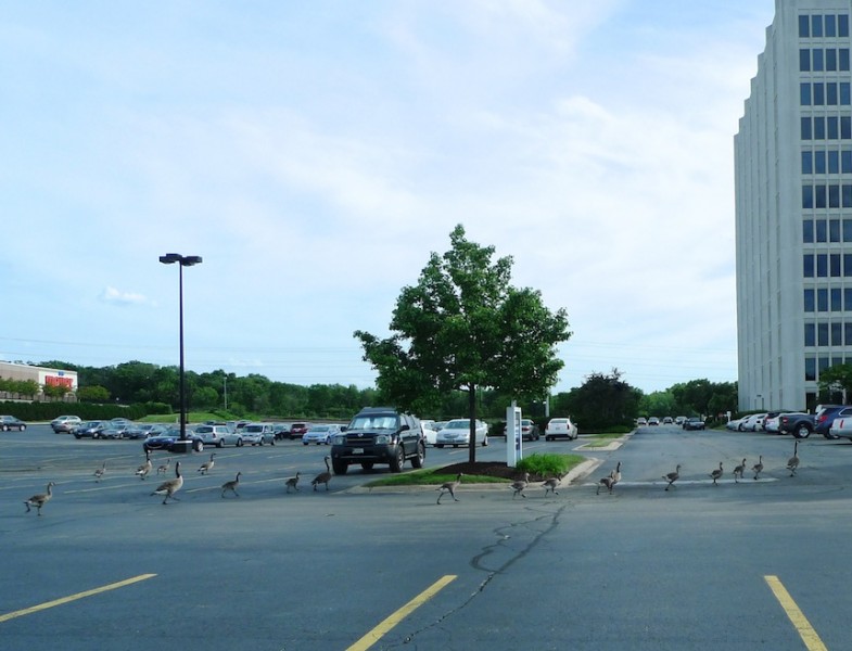 L1010453