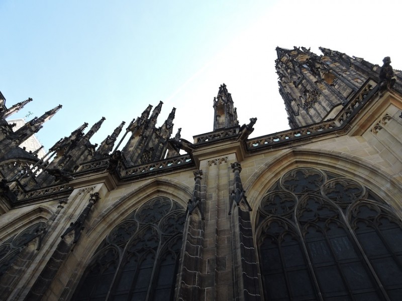 DSCN0520